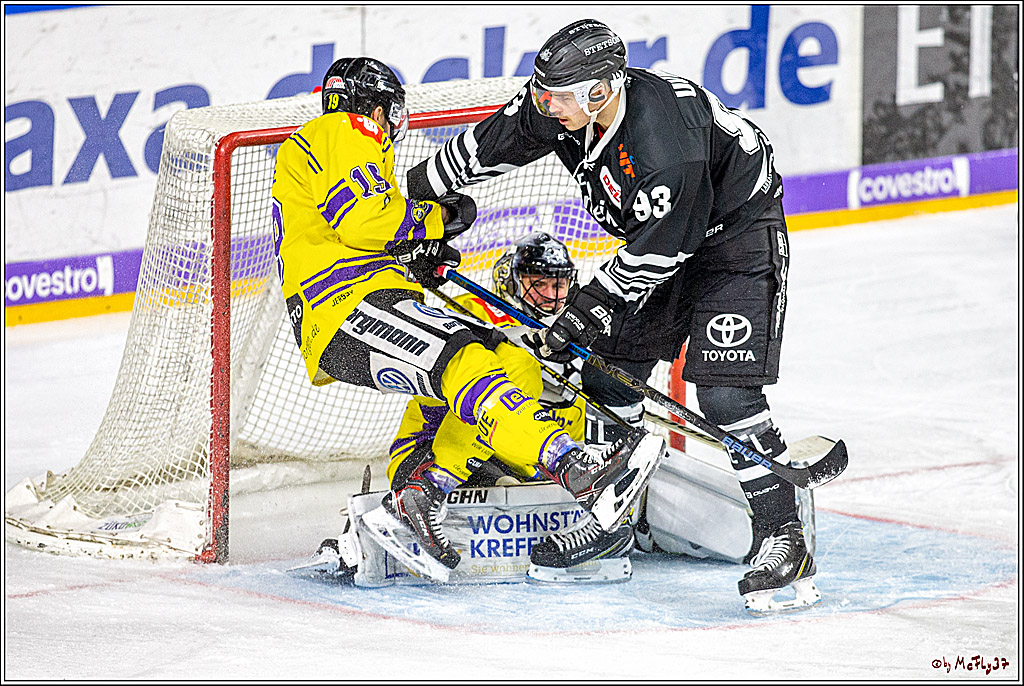DEL; Koelner Haie - Krefeld Pinuguine; Koeln, 24.11.2019